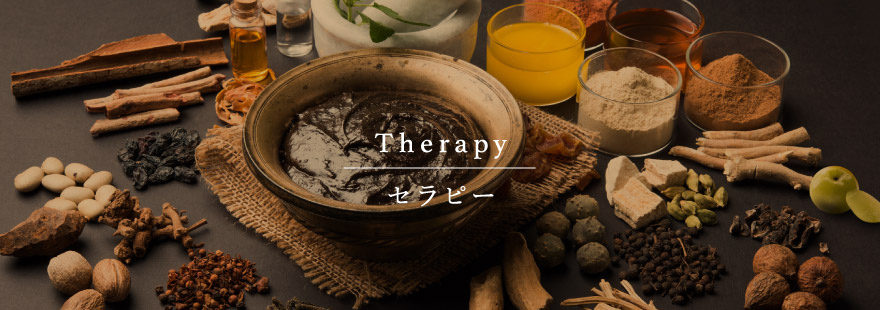 Therapy - セラピー